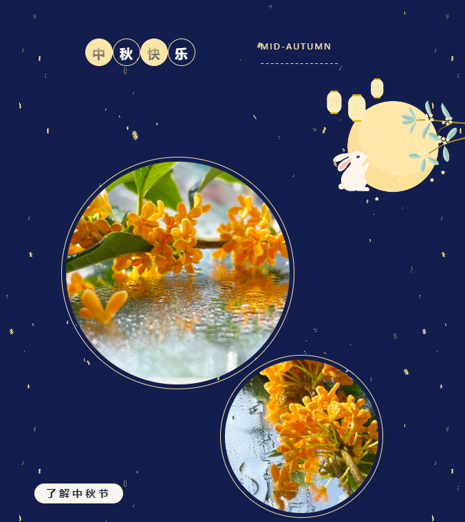 绝区零r18漫画免费观看