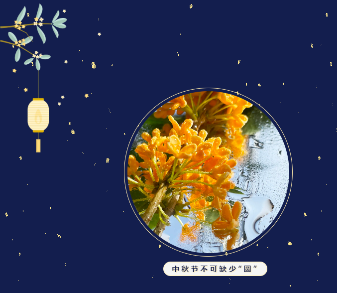 绝区零r18漫画免费观看