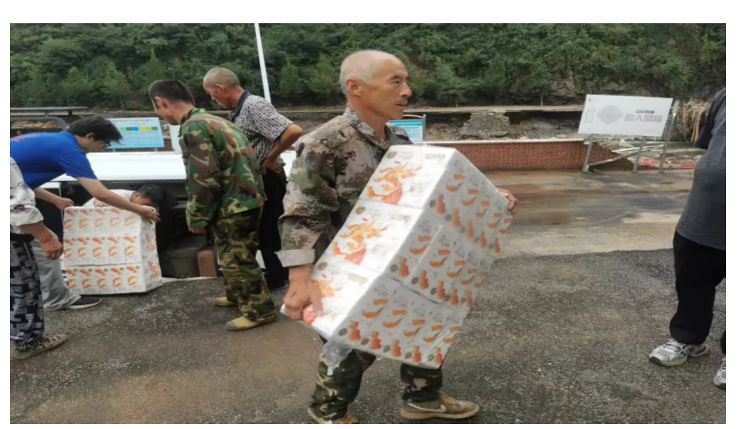 绝区零r18漫画免费观看